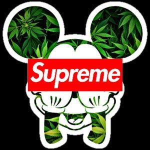 Meet your Posher, Janine